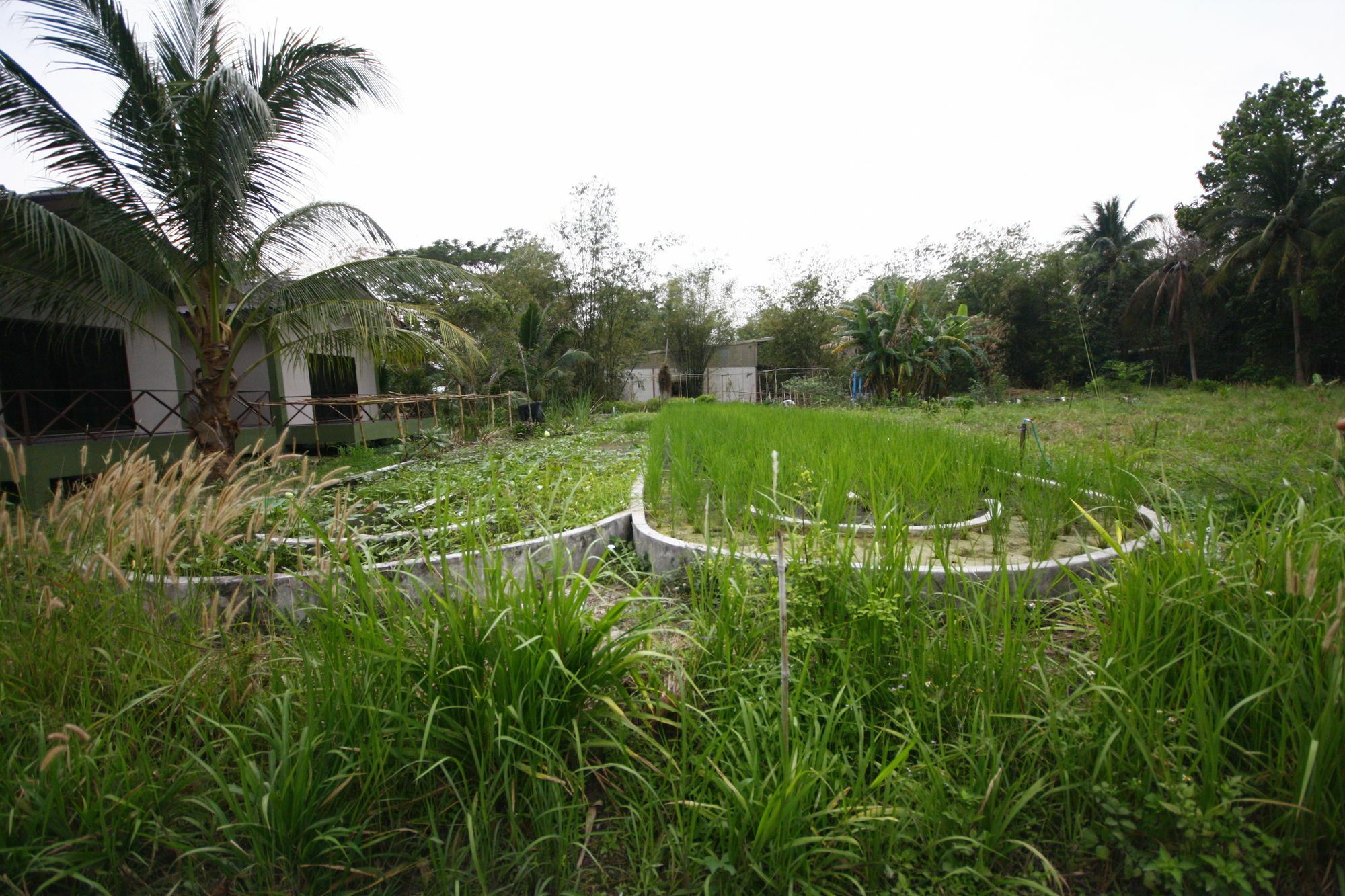 Long Lake Resort Chonburi Bagian luar foto